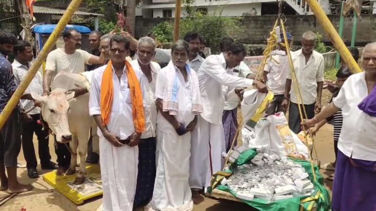 Watch Video: ఆవుకు తులాభారం వేసిన గ్రామస్తులు.. ఆ నాణేలను ఏం చేశారంటే..