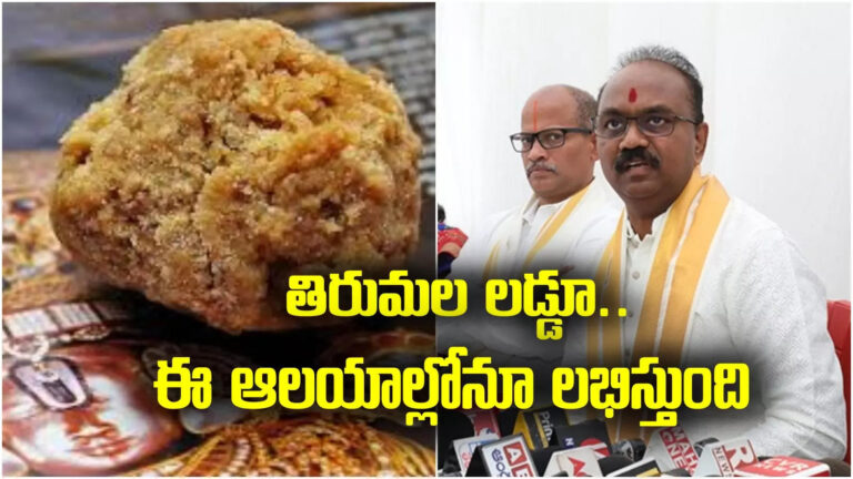 Tirupati Laddu,Tirumala Laddu: శ్రీవారి భక్తులకు మంచి ఛాన్స్.. ఇకపై అక్కడ కూడా తిరుమల లడ్డూ.. లిస్ట్ ఇదే.. – ttd supplied to tirumala srivari laddu to other local temples