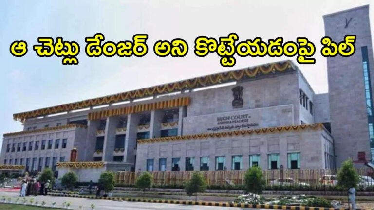 Ap High Court Hearing On Conocarpus Trees Pil,ఏపీలో ఆ చెట్లు డేంజర్ అని పవన్ కళ్యాణ్ చెప్పడంతో నరికివేత.. హైకోర్టు కీలక ఆదేశాలు – andhra pradesh high court hearing on pil filed to stop chopping conocarpus trees