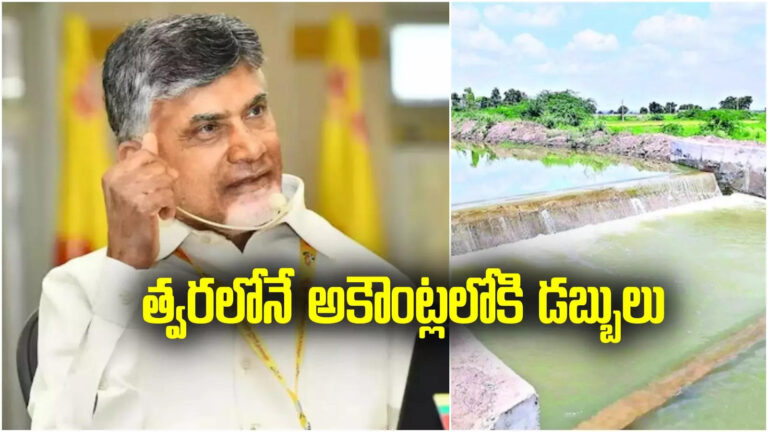 Neeru Chettu Bills,ఏపీలో వారి అకౌంట్లలోకి త్వరలోనే డబ్బులు.. చంద్రబాబు ఆదేశం.. ఎన్నాళ్లకెన్నాళ్లకు.. – cm chandrababu orders to pay pending bills of neeru chettu scheme in andhra pradesh