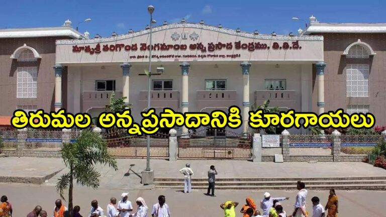 తిరుమల శ్రీవారి అన్నప్రసాదానికి కూరగాయలు ఎక్కడి నుంచి వస్తాయో తెలుసా.. ఉచితంగానే!