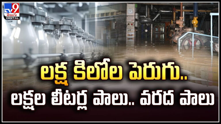 Vijayawada: లక్ష కిలోల పెరుగు.. లక్షల లీటర్ల పాలు.. వరద పాలు.! విజయవాడ అతలాకుతలం. Vijayawada: లక్ష కిలోల పెరుగు.. లక్షల లీటర్ల పాలు.. వరద పాలు.! విజయవాడ అతలాకుతలం.