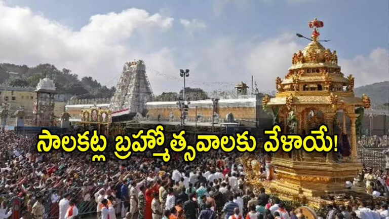 తిరుమల సాలకట్ల బ్రహ్మోత్సవాలు,తిరుమల శ్రీవారి సాలకట్ల బ్రహ్మోత్సవాలు.. పలు సేవలు, దర్శనాలు రద్దు: టీటీడీ ఈవో – ttd eo syamala rao key instructions for devotees on tirumala salakatla brahmotsavam 2024