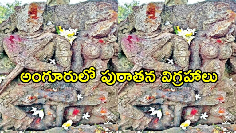 Saravakota Ancient Idols Found,శ్రీకాకుళం జిల్లాలో బయటపడ్డ పురాతన విగ్రహాలు.. విలువైన వజ్రాలతో, ఆసక్తికర విషయాలు – ancient idols found in anguru near saravakota srikakulam district