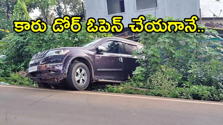 Paderu 538 Kgs Ganja Caught,పాడేరు సమీపంలో రోడ్డు పక్కన దూసుకెళ్లిన కారు.. డోర్ తీసి లోపల సీన్ చూసి పోలీసులు అవాక్కు – ganja found in a car met with accident near paderu alluri sitaramaraju district