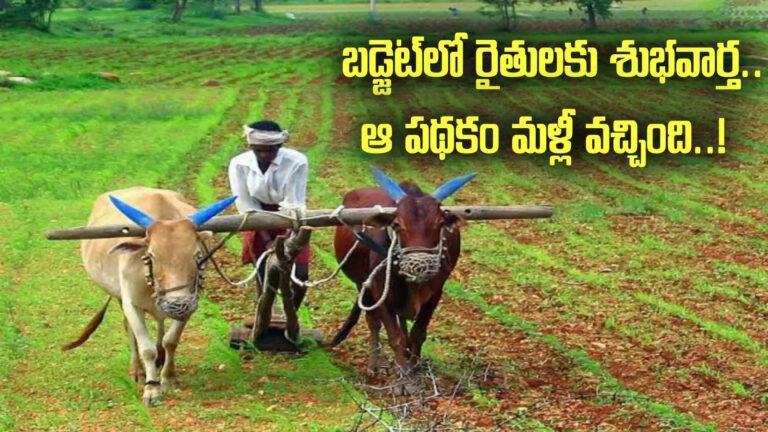 Annadata Sukhibhava Budget Allocations,ఏపీ రైతులకు శుభవార్త.. ఆ పథకం మళ్లీ వచ్చింది.. అచ్చెన్నాయుడు కీలక ప్రకటన – andhra pradesh announces subsidized micronutrients distribution and annadata sukhibhava for farmers in agriculture budget 2025