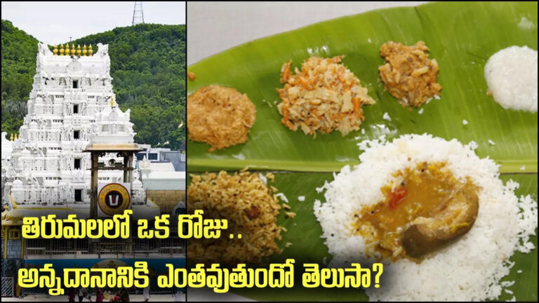 Tirumala Annaprasadam,TTD: తిరుమలలో శ్రీవారి భక్తులకు ఒకరోజు అన్నదానానికి ఎంత ఖర్చవుతుందంటే? – ttd starts one day donation scheme of rs 44 lakh to provide annaprasadam to devotees visiting tirumala