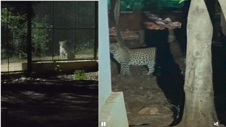 వేదఘోష వినిపించే ప్రాంతం చీకటి పడితే చాలు.. వింత శబ్ధాలతో వణుకుతోంది..!