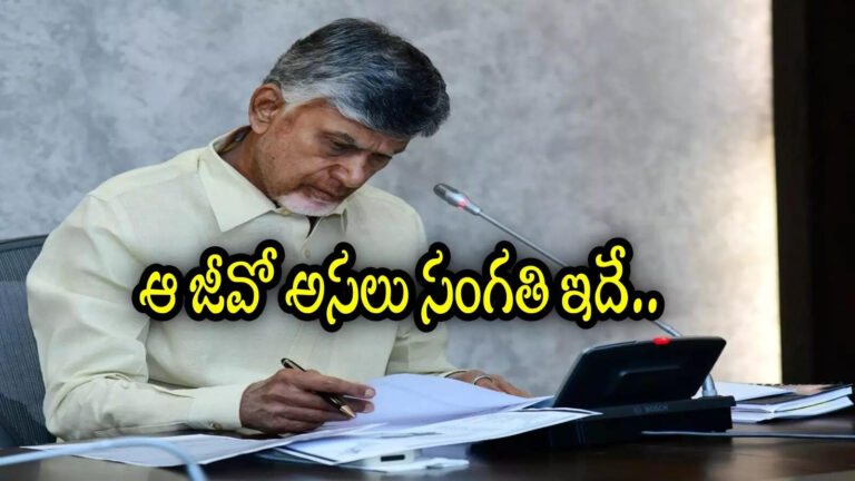 Andhra Pradesh More Than 2 Children Must Rule,ఏపీలో వాళ్లు స్థానిక సంస్థల ఎన్నికల్లో పోటీకి అర్హులు కాదా.. ఓహో అసలు సంగతి ఇదా? – andhra pradesh fact check team gives clarity on more than 2 children must for local polls rule