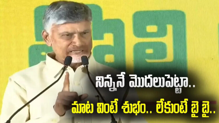 Chandrababu Warning To Mlas,అలా వెళ్తే టాటానే.. టీడీపీ నేతలకు చంద్రబాబు వార్నింగ్.. – cm chandrababu warning to mlas at tdp meeting in mangalagiri office