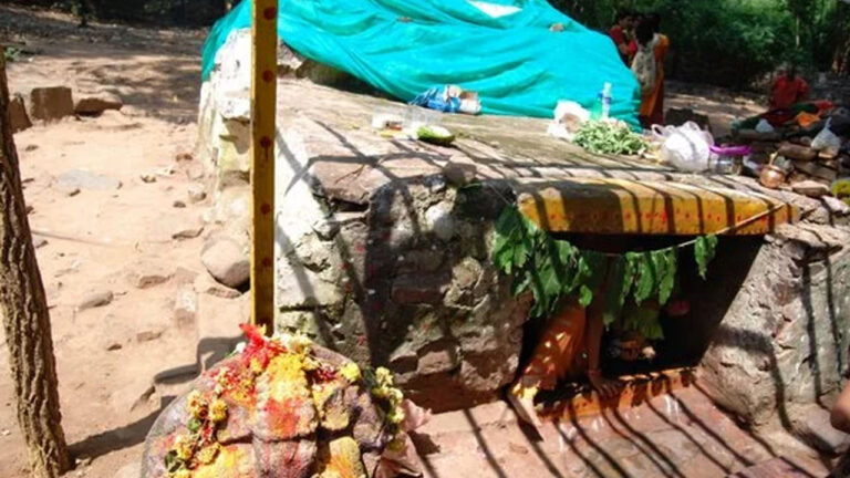 Andhra: 3 నెలల పాటు నల్లమల అభయారణ్యం క్లోజ్ – ఇష్టకామేశ్వరి ఆలయానికి కూడా నో ఎంట్రీ
