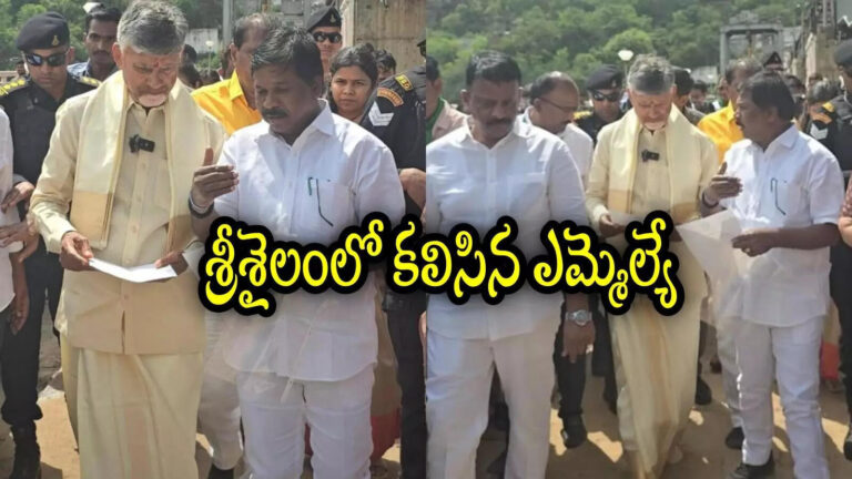 Achampet Mla Meet Chandrababu,చంద్రబాబును కలిసిన తెలంగాణ ఎమ్మెల్యే.. స్పెషల్ రిక్వెస్ట్, ఏపీ సీఎం సానుకూలం – achampet mla chikkudu vamshi krishna meet ap cm chandrababu naidu in srisailam
