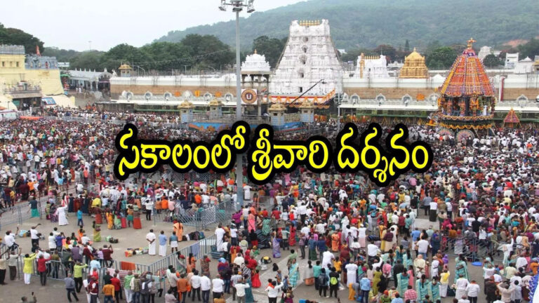 Ttd Technology For Timely Tirumala Darshan,తిరుమల శ్రీవారి దర్శనం ఇకపై చాలా త్వరగా.. టీటీడీ ఆ ఒక్క నిర్ణయంతో సింపుల్‌గా – ttd to use technology for timely tirumala darshan says eo j syamala rao