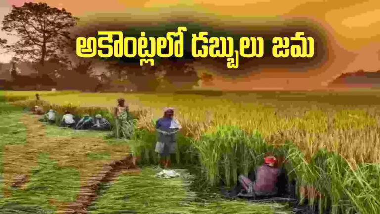 Ap Govt Funds Release To Farmers,ఏపీలోని రైతులకు అలర్ట్.. అకౌంట్లోకి డబ్బులు పడుతున్నాయ్.. – ap government funds released paddy procurement pending dues to farmers