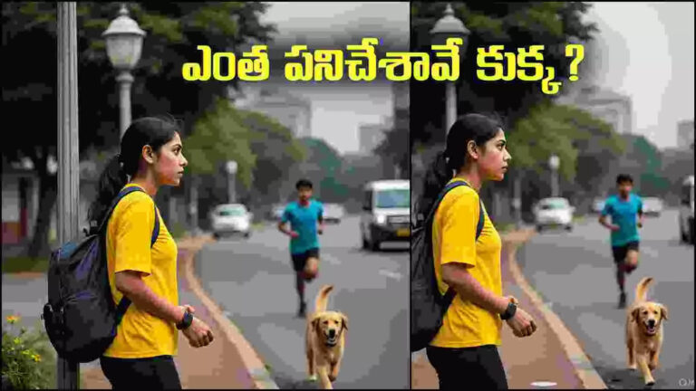 Vijayawada Dog Dispute,యువతీ, యువకుడి మధ్య గొడవ పెట్టిన కుక్క.. రెండు వర్గాల మధ్య వివాదం.. – dispute between two communities over dog at patamata in vijayawada
