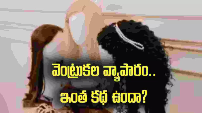 Ap Human Hair Exports,వెంట్రుకలే కదా అని తీసిపారేయడానికి లేదు.. సీఎం చంద్రబాబు వద్దకు చేరిన వ్యవహారం.. – ap chambers urges cm chandrababu to curbs on raw human hair exports to china