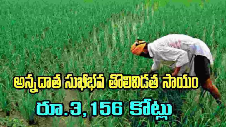 Annadata Sukhibhava Funds Release,Annadata Sukhibhava: ఆగస్ట్ 2న అన్నదాత సుఖీభవ డబ్బులు.. ఈ మెసేజ్ వచ్చిందా? – ap cm chandrababu to release 3156 crore funds to farmers under annadata sukhibhava scheme on august 2