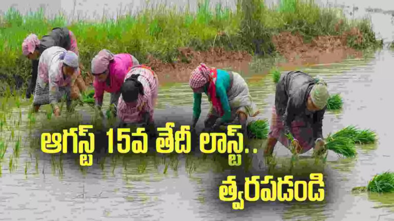 Pradhan Mantri Fasal Bima Yojana Premium Payment,ఏపీలో రైతులకు అలర్ట్.. ఆగస్ట్ 15వ తేదీనే లాస్ట్.. త్వరపడండి.. – pradhan mantri fasal bima yojana premium payment deadline will end on august 15