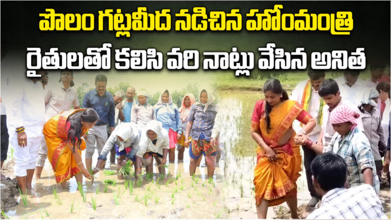 Vangalapudi Anitha: పొలంలోకి దిగి వరినాట్లు వేసిన హోం మంత్రి..