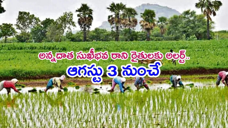 Annadata Sukhibhava Grievance August 3,అన్నదాతా సుఖీభవ నిధుల జమ కాలేదా.. అయితే ఇలా చేయండి.. ఆగస్టు 3 నుంచే – annadata sukhibhava farmers not get funds will complaint from 2025 aug 3rd