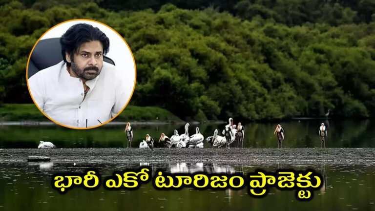 Ap Eco Tourism Project,ఏపీలో భారీ పర్యాటక ప్రాజెక్టు.. పవన్ కళ్యాణ్ కీలక ఆదేశాలు.. దేశంలోనే ఫస్ట్! – andhra pradesh government plans for big eco tourism project says deputy cm pawan kalyan