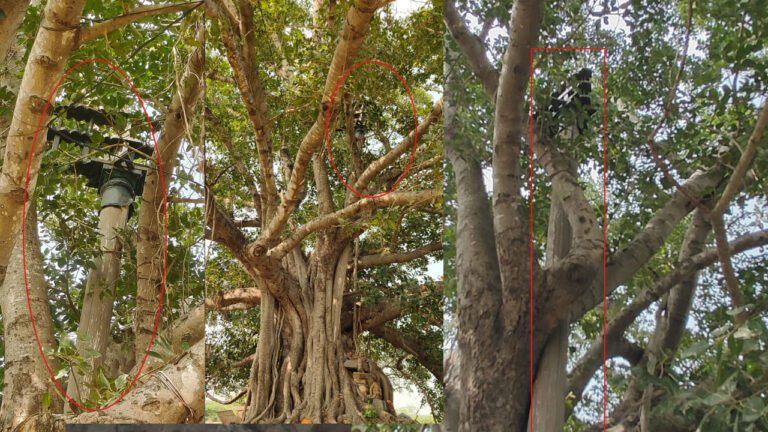 Prakasam district:  గుడి శిధిలం… ధ్వజస్థంభం పదిలం…