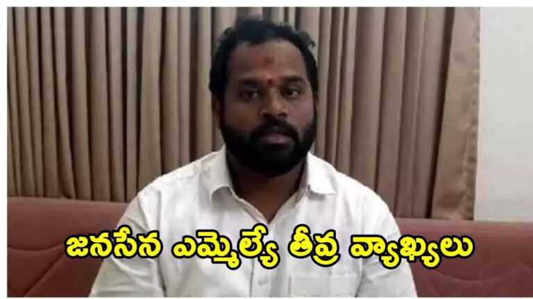 Railway Kodur Mla Arava Sridhar,తక్కువ స్థాయి వ్యక్తుల్ని ఎమ్మెల్యేను చేస్తే…. అరవ శ్రీధర్‌‌పై జనసేన ఎమ్మెల్యే సంచలన వ్యాఖ్యలు – tadepalligudem janasena mla bolisetti srinivas sensational comments on railway kodur mla arava sridhar