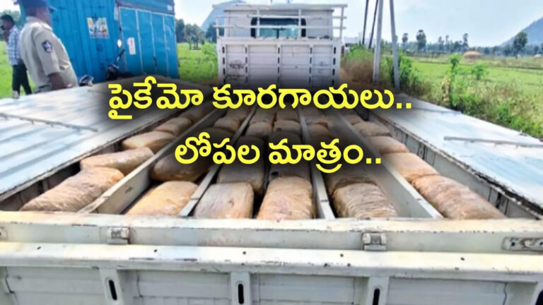 Pushpa Style Ganja Smuggling In Narsipatnam,స్మగ్లర్‌గా మారిన కంప్యూటర్ సైన్స్ గ్రాడ్యుయేట్.. పుష్పనే మించిపోయేలా ప్లాన్.. కోట్లల్లో వ్యవహారం.. – narsipatnam police catch ganja smuggling gang who setting up secret compartments in bolero in anakapalli