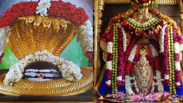 Srisailam: శ్రీశైలం శివయ్యను చెవిటి మల్లన్న అని భక్తులు ఎందుకు పిలుస్తారో తెలుసా..? Srisailam: శ్రీశైలం శివయ్యను చెవిటి మల్లన్న అని భక్తులు ఎందుకు పిలుస్తారో తెలుసా..?