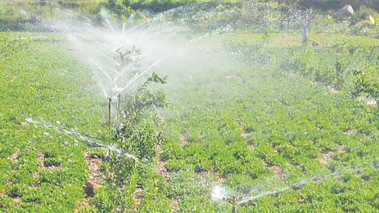 Ap Govt 90 Percent Subsidy For Drip Irrigation,ఏపీలో ఎఫ్‌ఆర్‌ఏ పట్టాదారులకు శుభవార్త.. 90శాతం రాయితీతో పరికరాలు ఇస్తారు – ap govt decided to implement 100 percent subsidy on micro irrigation and 90 percent subsidy on drip irrigation equipment to fra land patta holders