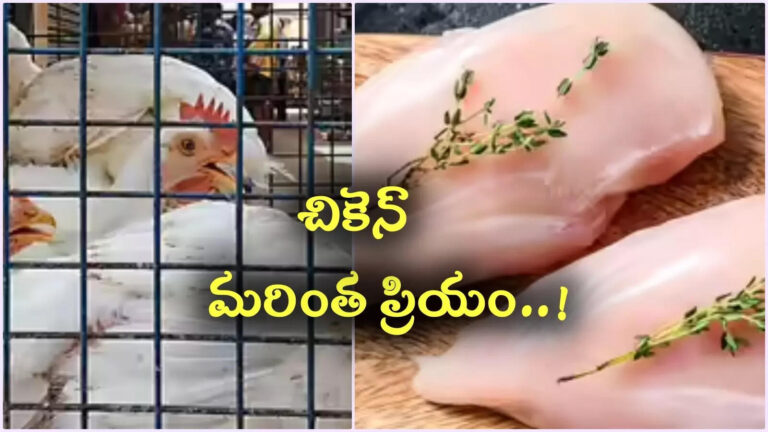 Chicken Rate Today,నాన్వెజ్ ప్రియులకు బ్యాడ్ న్యూస్.. చికెన్ రాబోయే రోజుల్లో మరింత ప్రియం.. కారణాలివే.. – chicken prices may rise further as demand continues to outpace supply in andhra pradesh Chicken Rate Today,నాన్వెజ్ ప్రియులకు బ్యాడ్ న్యూస్.. చికెన్ రాబోయే రోజుల్లో మరింత ప్రియం.. కారణాలివే.. – chicken prices may rise further as demand continues to outpace supply in andhra pradesh